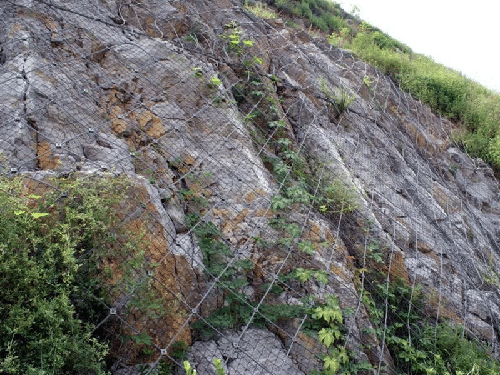 主動邊坡防護網